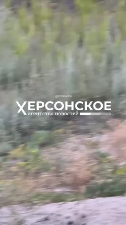 ������ �� ��������: ������� � ������� �����������