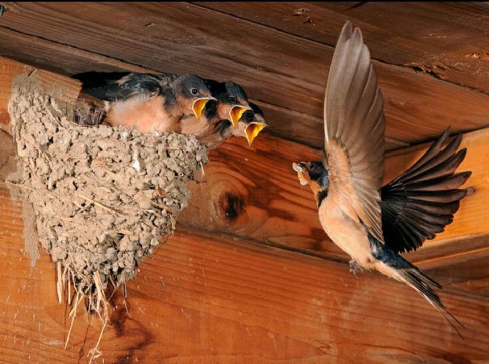 �������� � �����: ������ ����� � ���� � ������