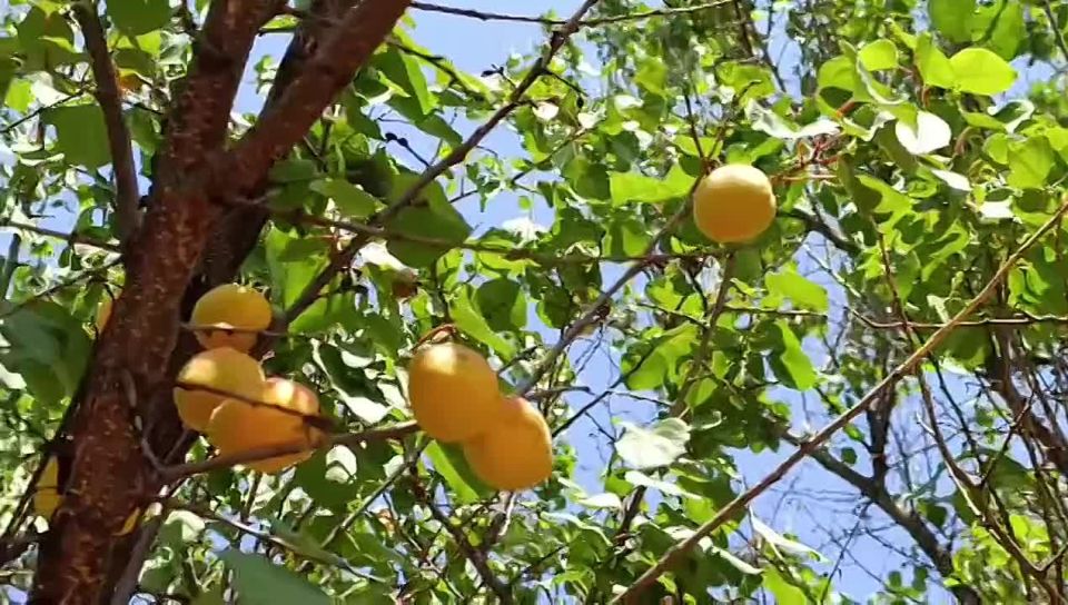 ������ ����, ������ ���������� �������������� ������!