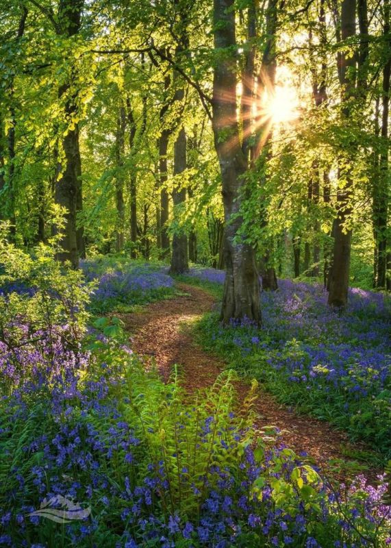 . ��������� ������ ���� � ���� , ����� ������� � � �������