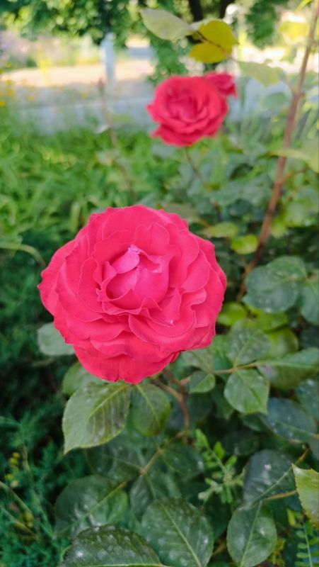 � ������ �����! �����, ����� � ����������� ���� ������� ������ � ������������ �� �������� ����������, ��� ���������� ���������� ����� � � ���������! ���������, ��������, ����� � ����� ������ �������!