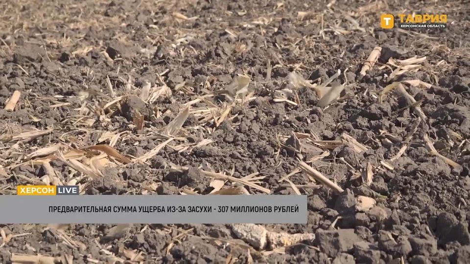 ��������������� ����� ������ ���������� ������� �� ������ � 307 ��������� ������, ������ ������ ����������