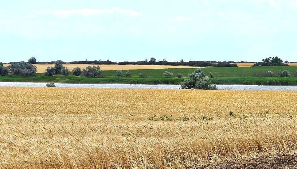 Глава Генического муниципального округа посетила село Новогригоровка