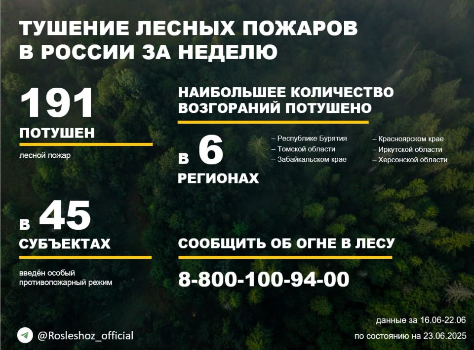 За прошедшую неделю потушен 191 лесной пожар в России