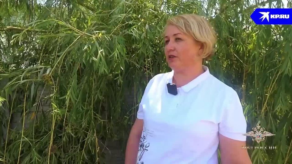 Сосед похитил награды из тайника: Внучке ветерана Великой Отечественной войны вернули похищенные 15 орденов и медалей