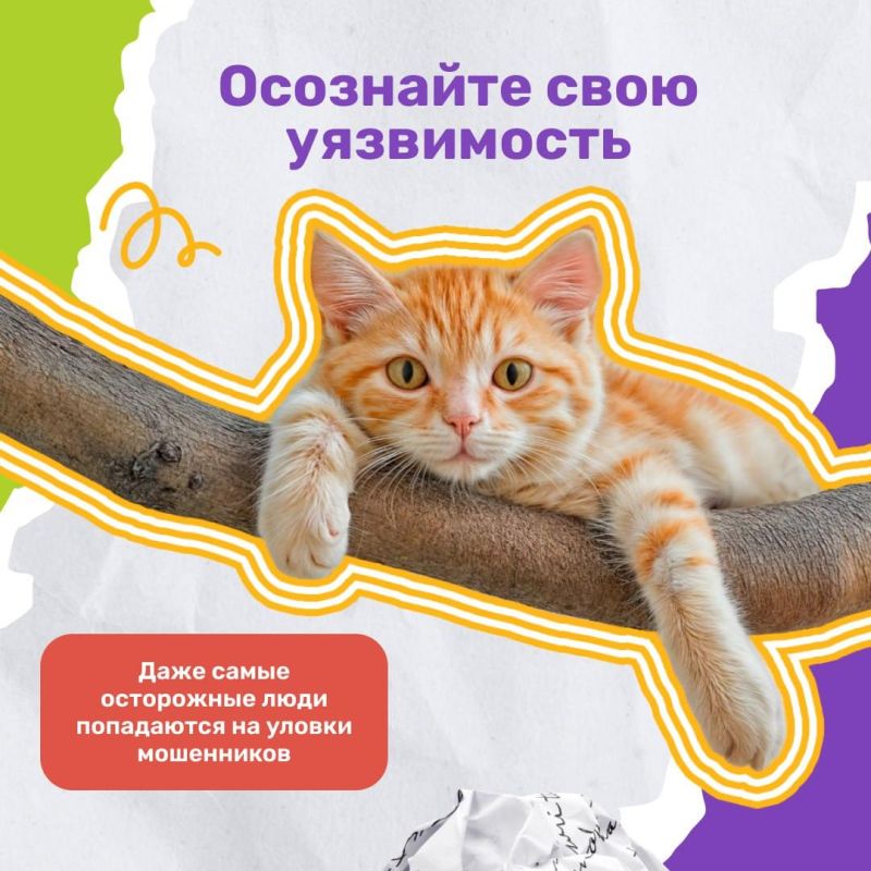 ������ ������: ��������� ���������� ��������������� ������