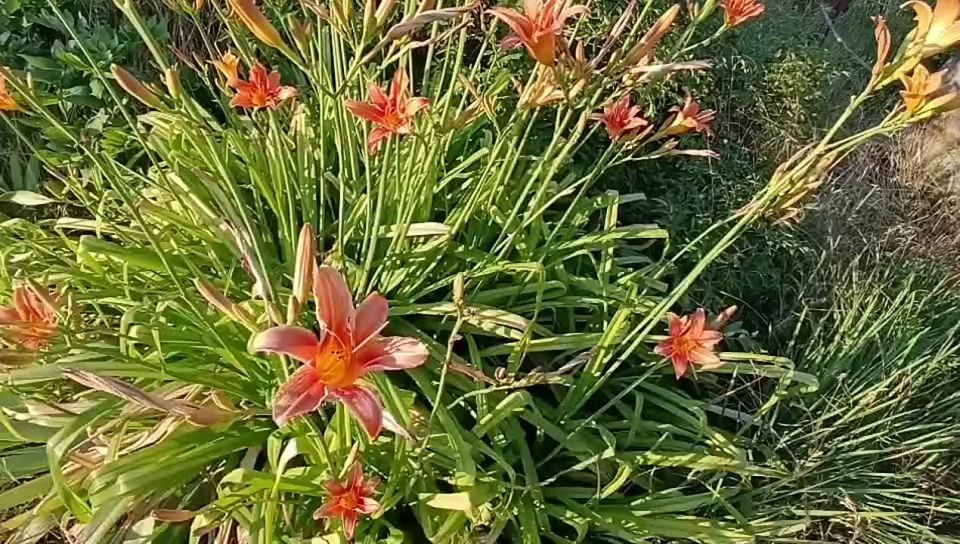 Доброе утро, жители Каховского муниципального округа!