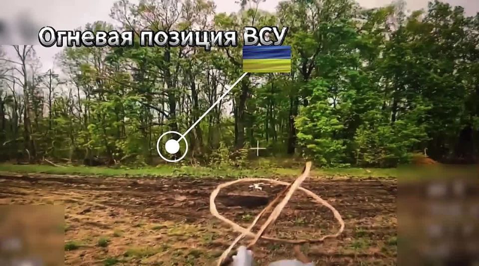 ������� �������.. ���������� 30 ��� 44 �� ���������� � ���������� ������� ������� ���������� �������������