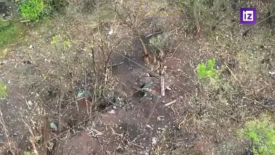 ���������� �� ������������ ����� ������������ ����������� ������ �������� � ���