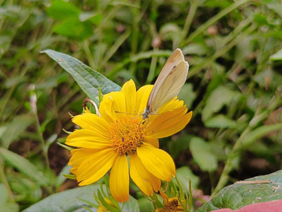 ��������� ������ �����������!