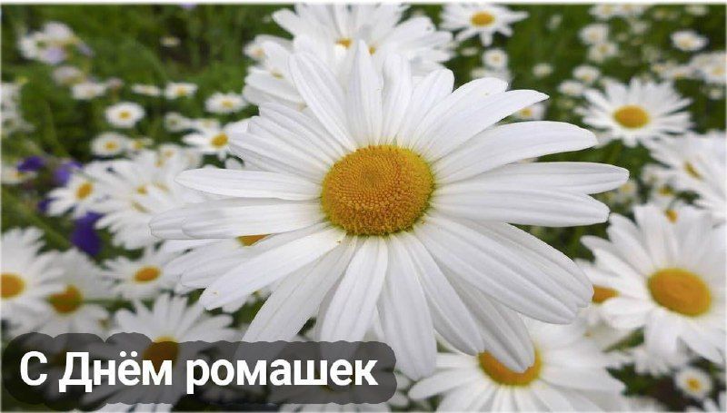 24 ���� � ���������� 15 ����������