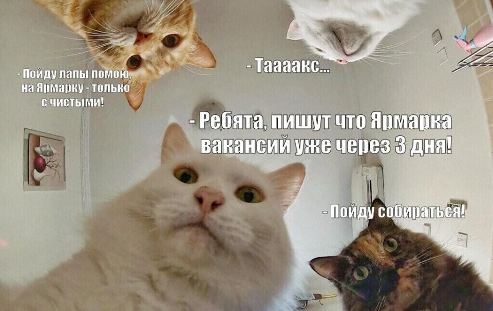 ����������� ���� ������������� ������� ��������������� ������� ������. ����� ������������. ��������� ���������