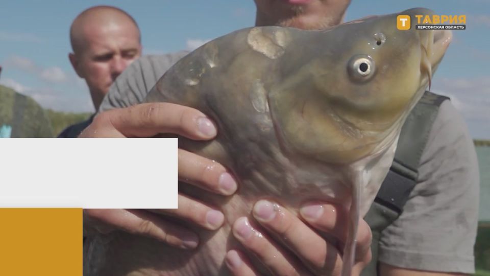 "������� � ����������": �������� ����� ��������� ��� "������" ��������� 27 ����