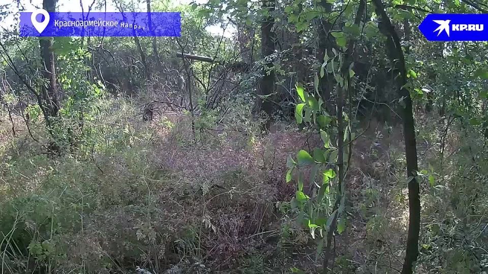 ������: �� �� ���������� ����� ���������� ��� �� ������� �������