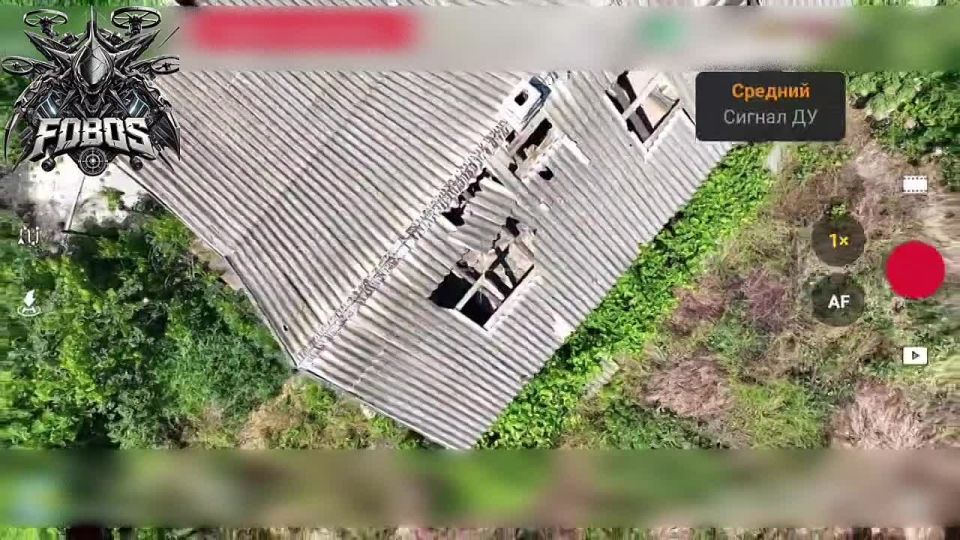 ���������� �����������.. ��������������� �������� �� ����������� ���������� � ���� ��������� ���������� ��� ������ �����! �������������� ���, ���� �� ������ �� ����� � ��� �� ������� ��������� � ��������� ������ ������ -...