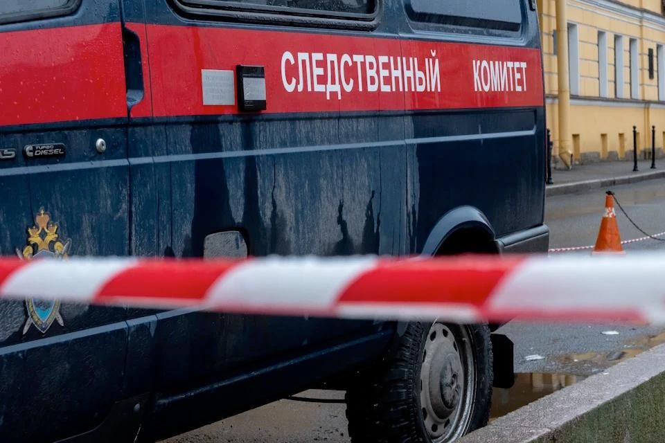 СКР выяснит обстоятельства ударов ВСУ по Новой Маячке и ранения двух человек