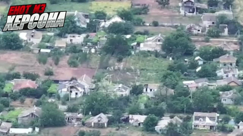 ���� �� �������: �����������, ������ ����� ������