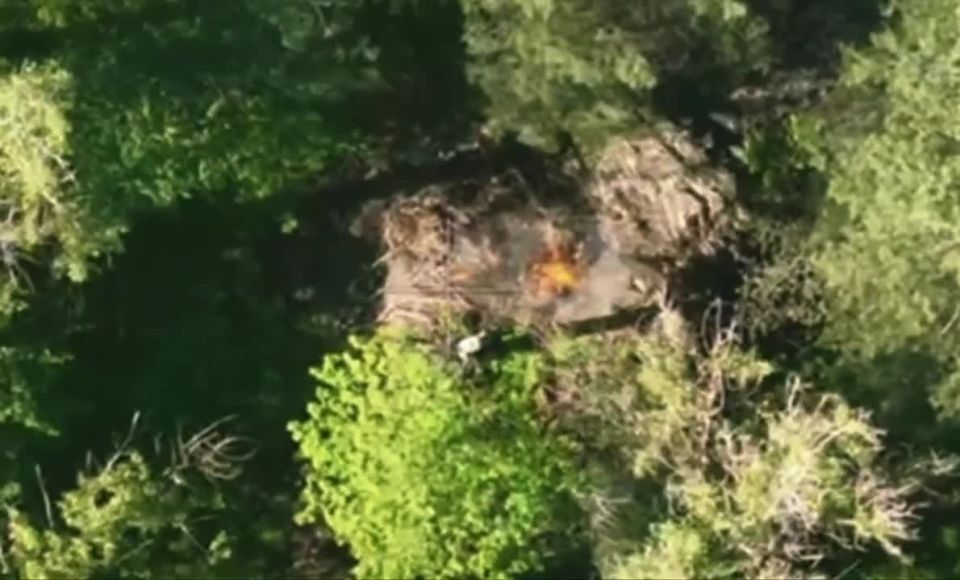 ����������� �����������. ���������� �������� ��� ������ ������� �������