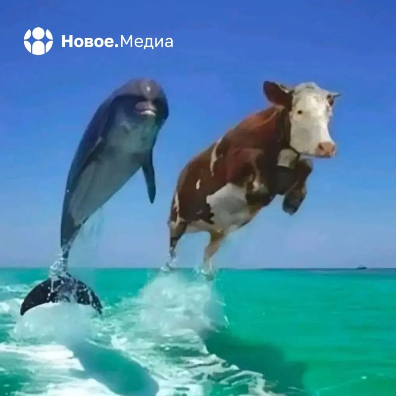 ����� �� �����.����� � ���������� ������ ����� ������, �� �� ���������� ������