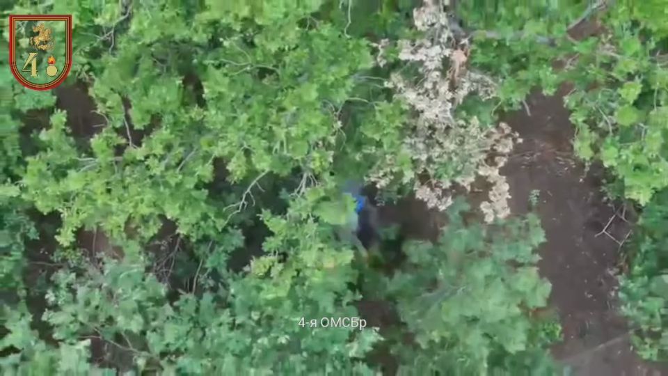 ����������:. ������� ���������� ���� - 3��