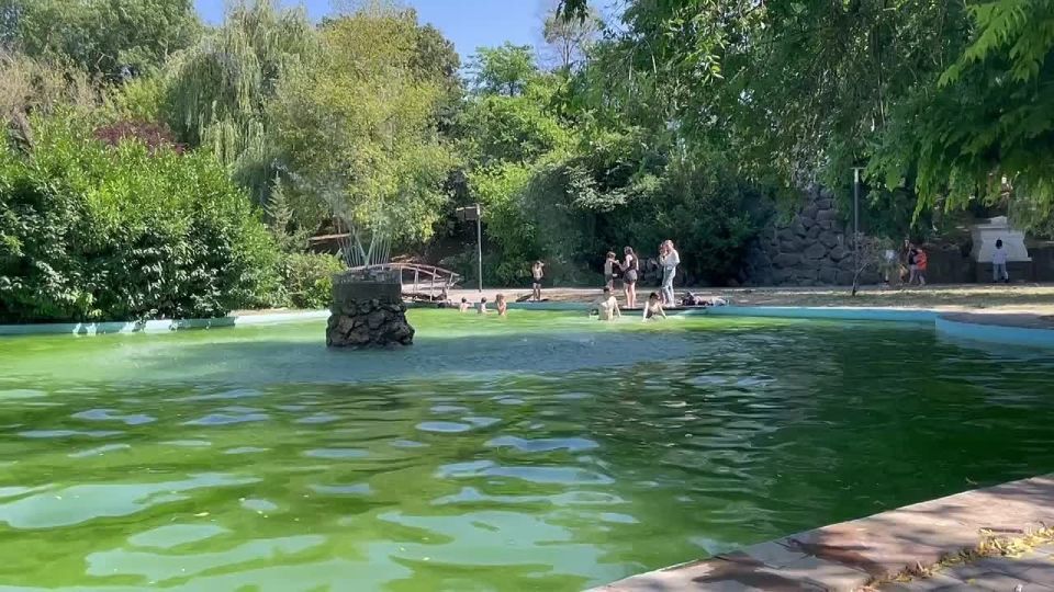 ���� ������ �� ����� �������� ����� � ��������������� �������� � ���� ��������, ������ ���������� ������� ������������ ��������� �� ���������� �������!