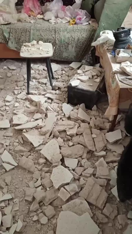  : 50    /     : 23    , 11  , 6   ,  3       ,   ...