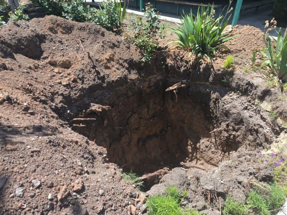 � ��������� ���������� ������ ���� ���������� ����� �4