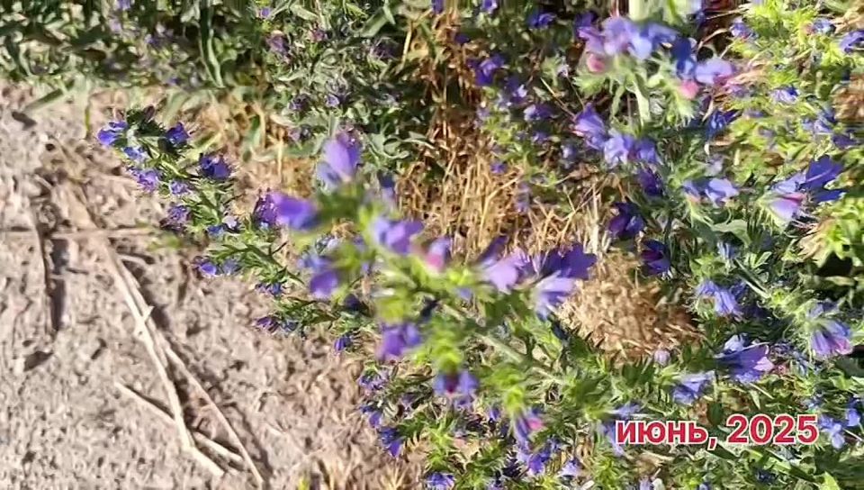 ������ ����, ������ ���������� �������������� ������!