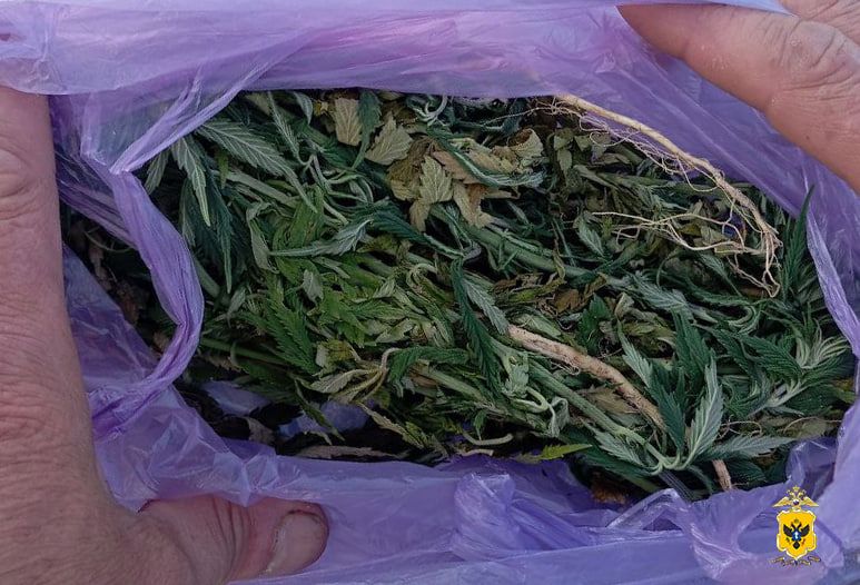 ����������� ������ � ������ ����������� ������ ��������������� ��������