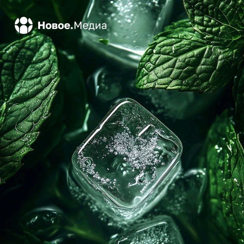 ����� ����, �� �� �� �����.����� � ����������