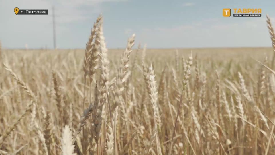 � ���������� ������� ������� ���������������� ������ 23 ������ ������ �������