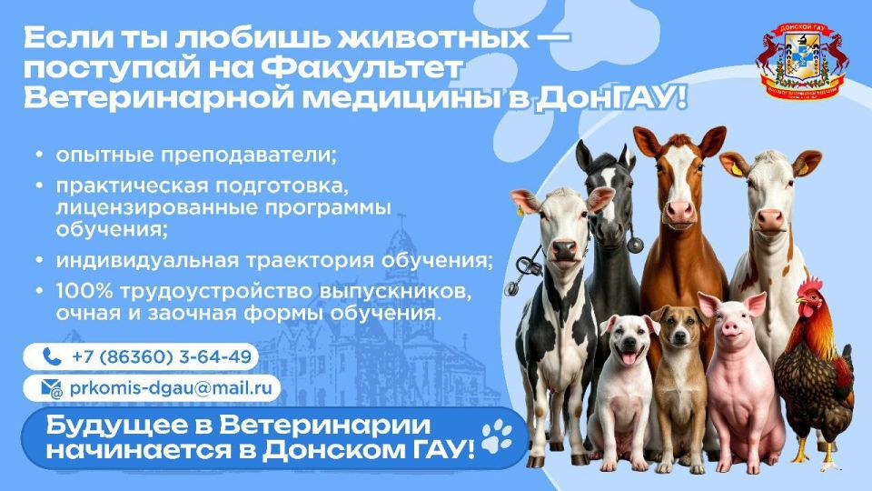 ������� �������� 2025 � ������� ��� �������!