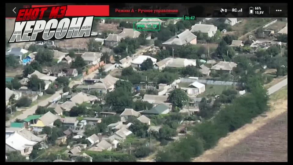 ���� �� �������: ������ ����� ������. ��������� �������� ������� ��� ����������, ����� ���� ���������� ���� ���� �������� �������������