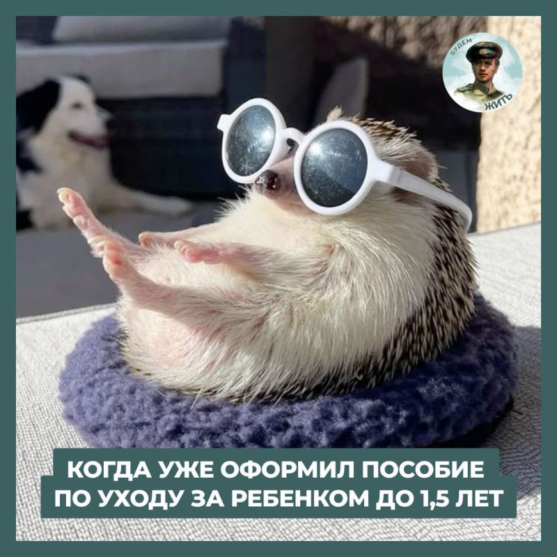 � ������ ������� ��������� � ��, ��� ����� ����� � ������� �� ������ �� 1,5 ���