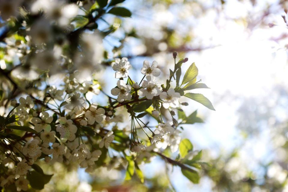 ������� ����� � ����� �� 25 ������ � ������� ��������� � �������� � ���������� �������