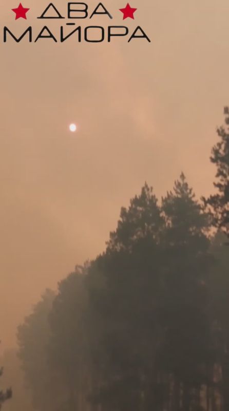 ��� ������: ���������� �������. ���� ������� ��������� ����, ����� �� 600 ������ � �����