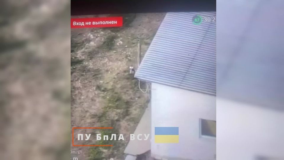 ���� �� �������: �.�. �������, ���������� �����������