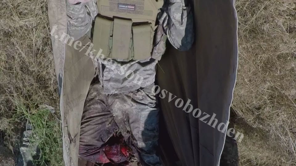 ���� �� �������: ���������� ����� � ����� ������ ������� ���