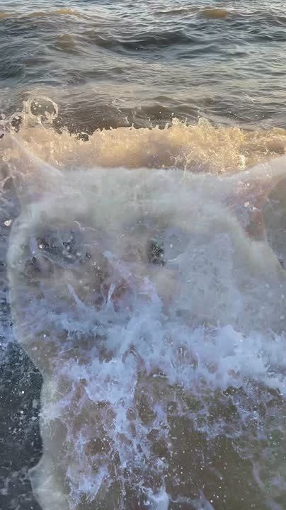 ���������� ������� ������������, �� ��������?