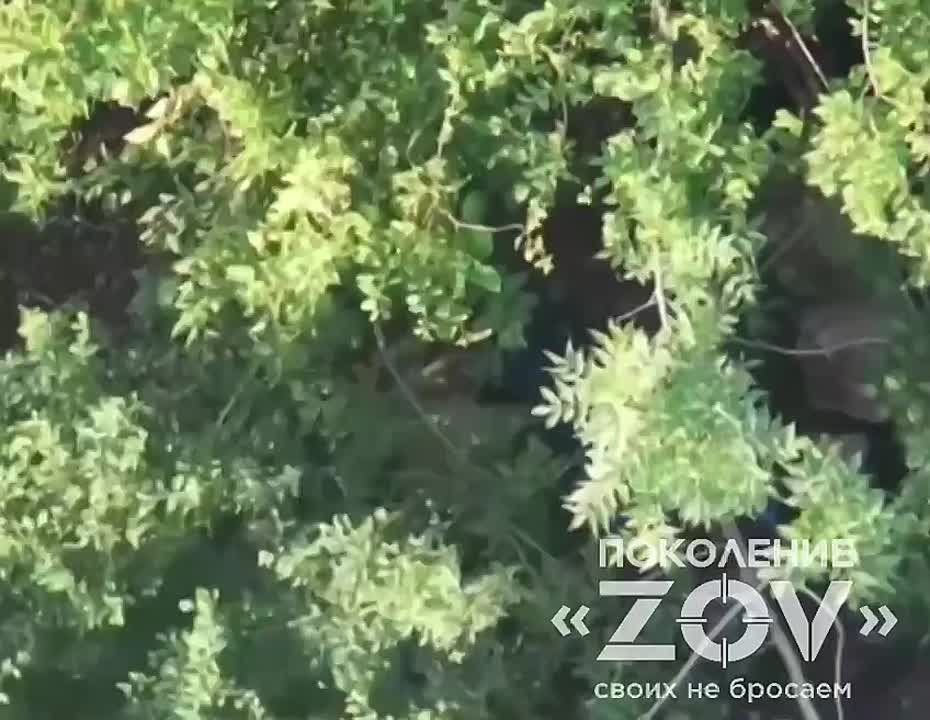 ���������. ��������-����� ���������� �������