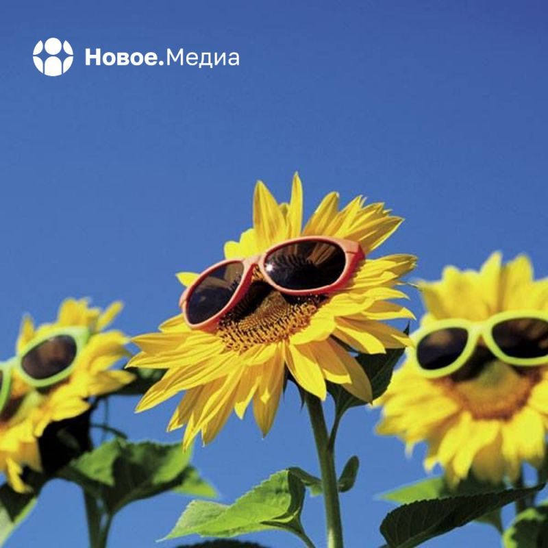 ����� ������ ������, ���������� � ����� ���������