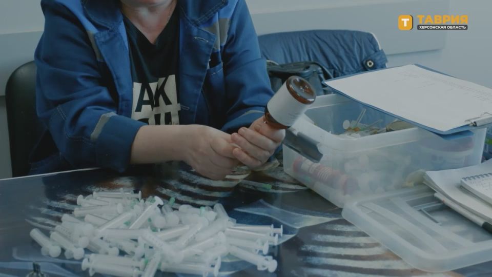 ����� ������������ ������ �� ���������� ����������� � 2024 ���� �������� 325 ����