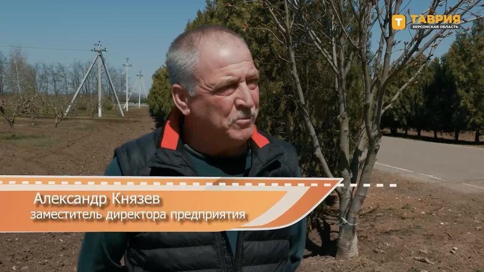 ������������� ��������� ������ ������� �� ������ ����� ������������