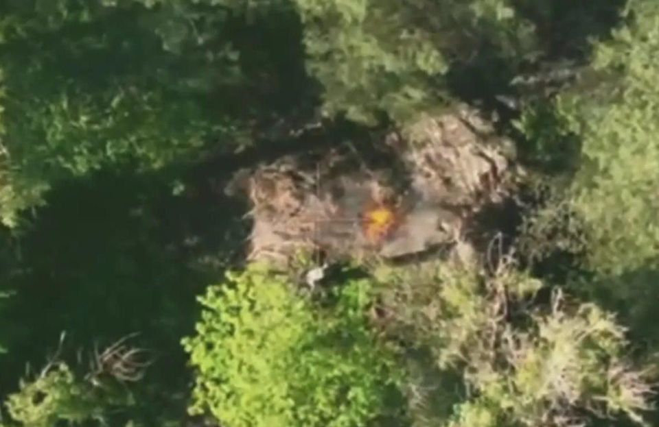 1 �������������� ����������� ����� "�����" �������� � ���������� ����� ���������� ���, ������� ��������� ���� � ���������� �������