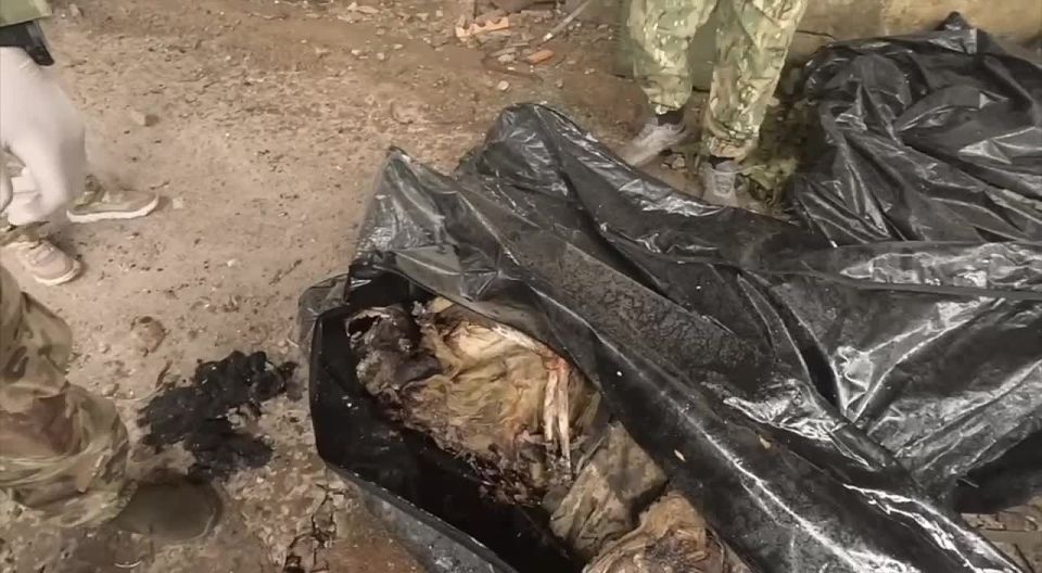 �������� ��������� � ��������� �����������