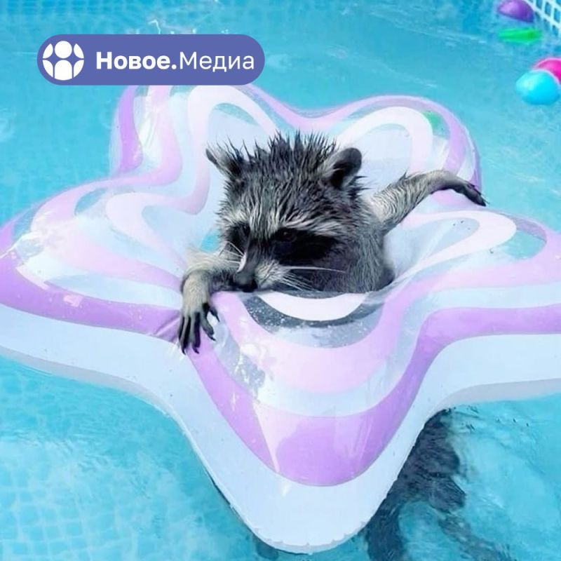 ���������� ������� � ���������� ���� ���� �����