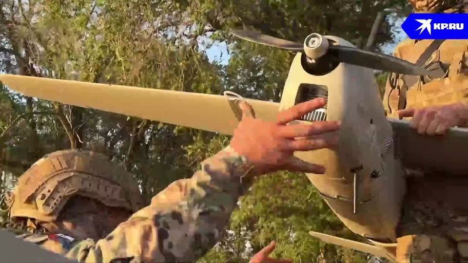 ���� �� �������: ������ ������ �������� ��� ������-10� 18-� �� ����������� ����� ������