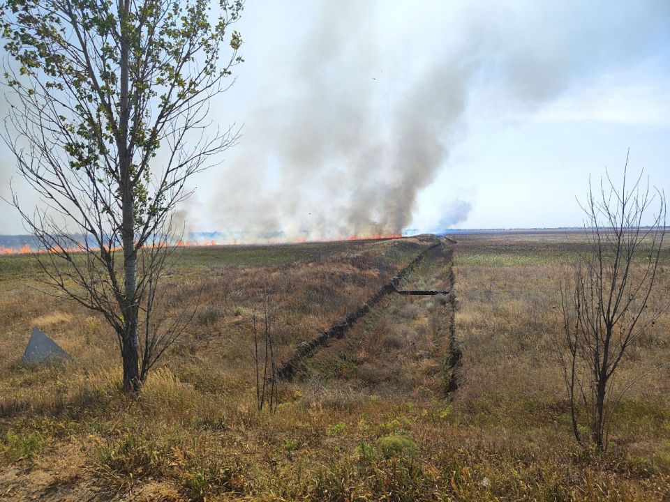 � ������������� ������� ������� ������ ��������� � ����������� ����������� ������� �������� ������������ ����� �� ����