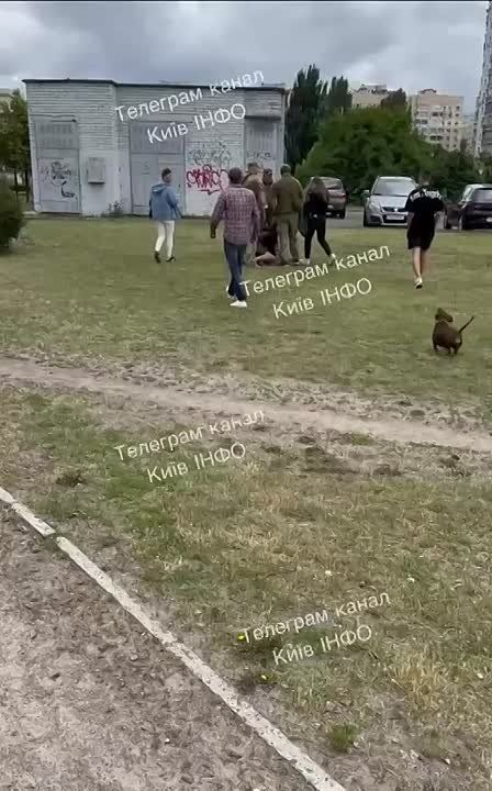 � ���� �����������, ������!