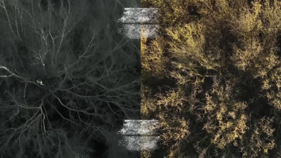 ��� ���� ���� �����!. ���������, ��� ����� � ����� ��������, ���� ������� ������� �������� ���������� ���� ����� ��� ������ ��� �� �� �����